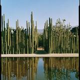 Oaxaca city