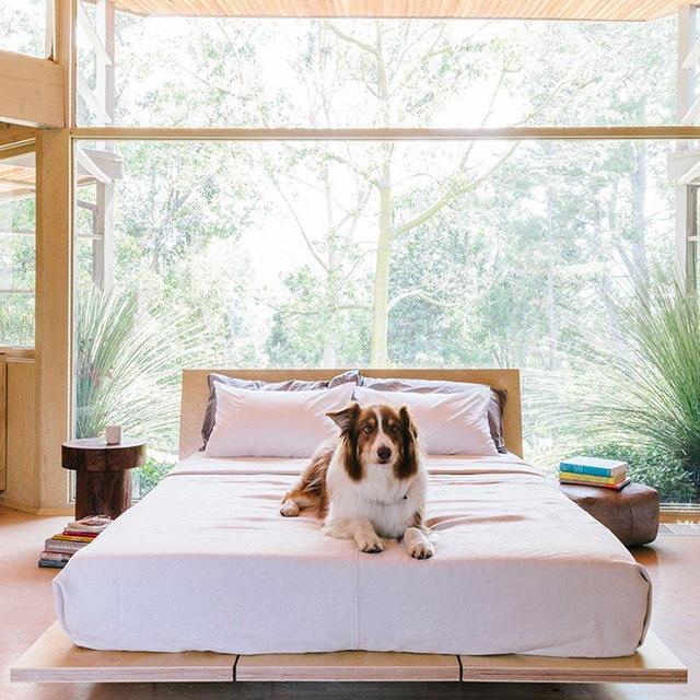 The Bed Frame