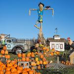 Linvilla Orchards