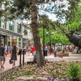 Pearl Street Shops