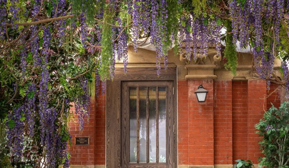 The Wedding Website of Jessica Sue Eisenbud and Michael Jeremy Friedlander