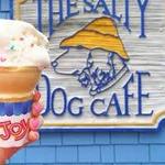 The Salty Dog Cafe