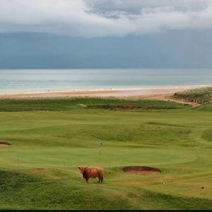 Round of Golf for 2 - Brora Golf Club
