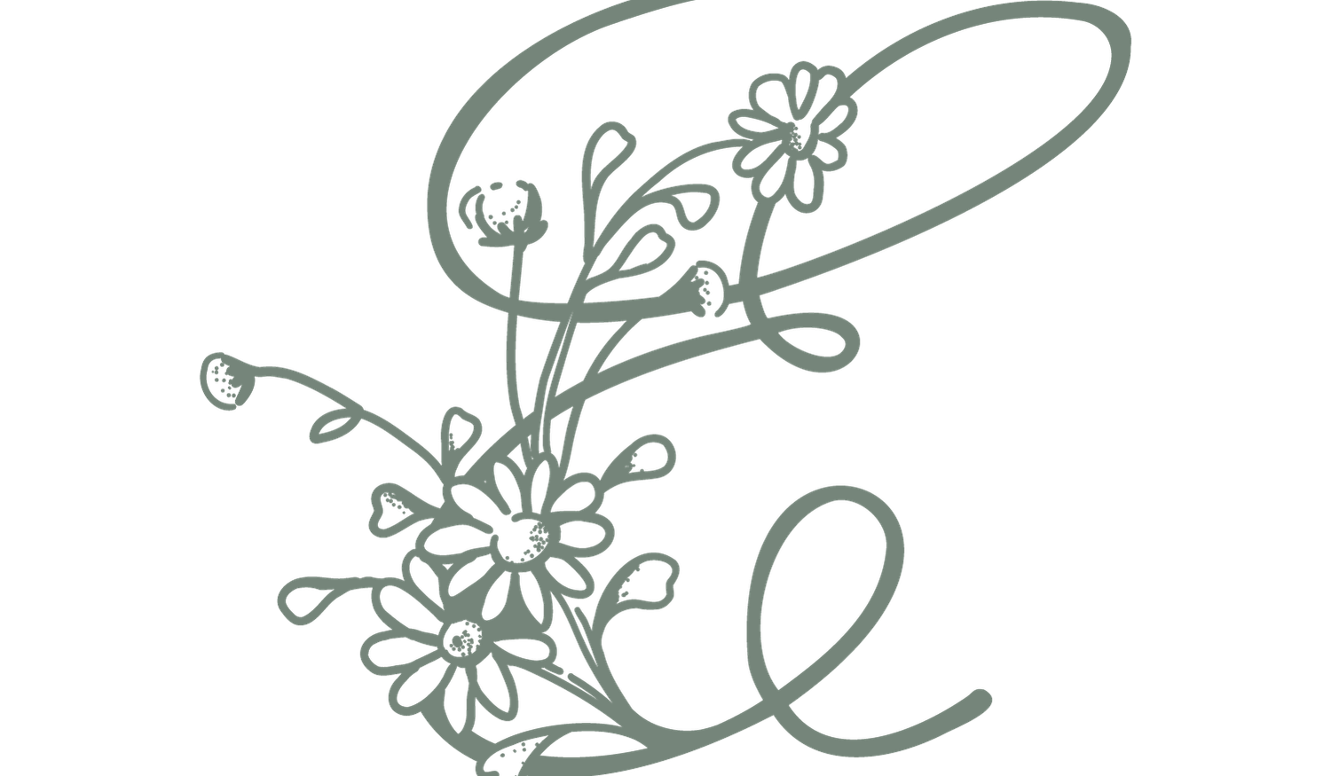 Footer image