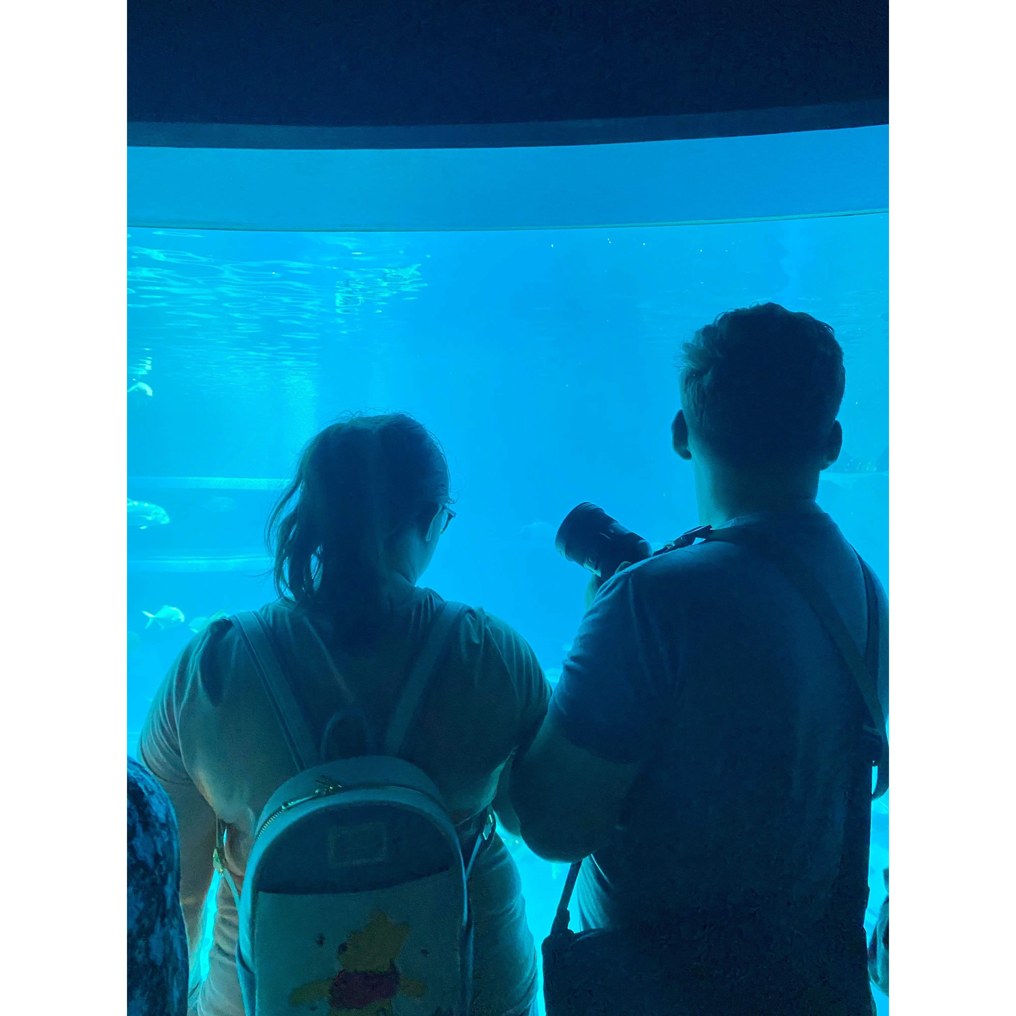 This is at the Osaka aquarium when family came to visit us in Japan.