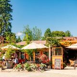 Marchesi Vineyards & Winery