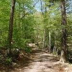 Mianus River Park