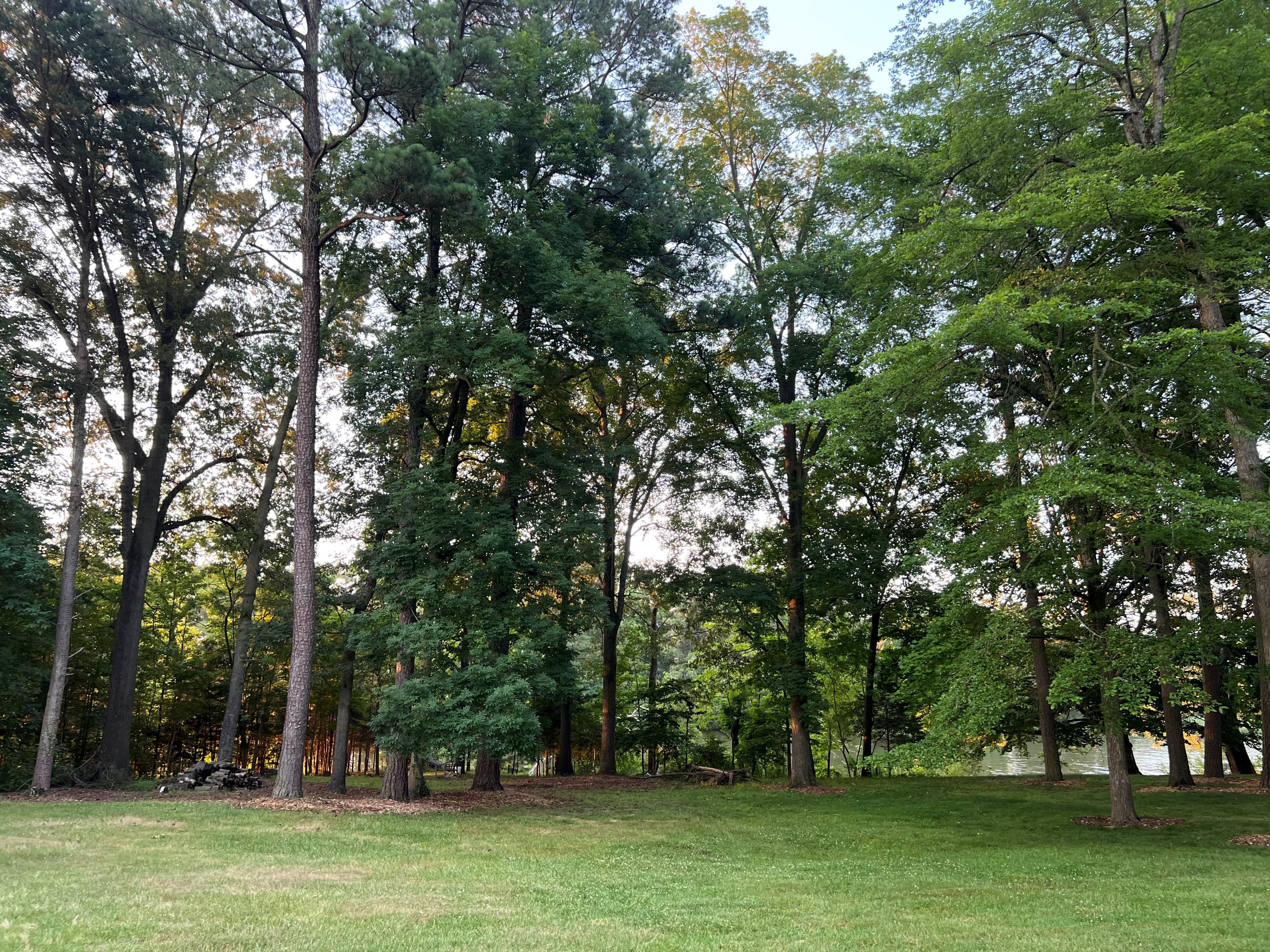 The Wedding Website of Gabriel Trasatti and Selamawit Teka