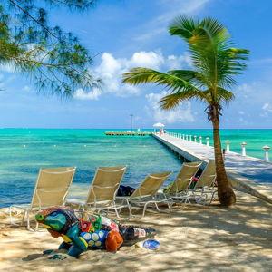 Honey Moon Fund