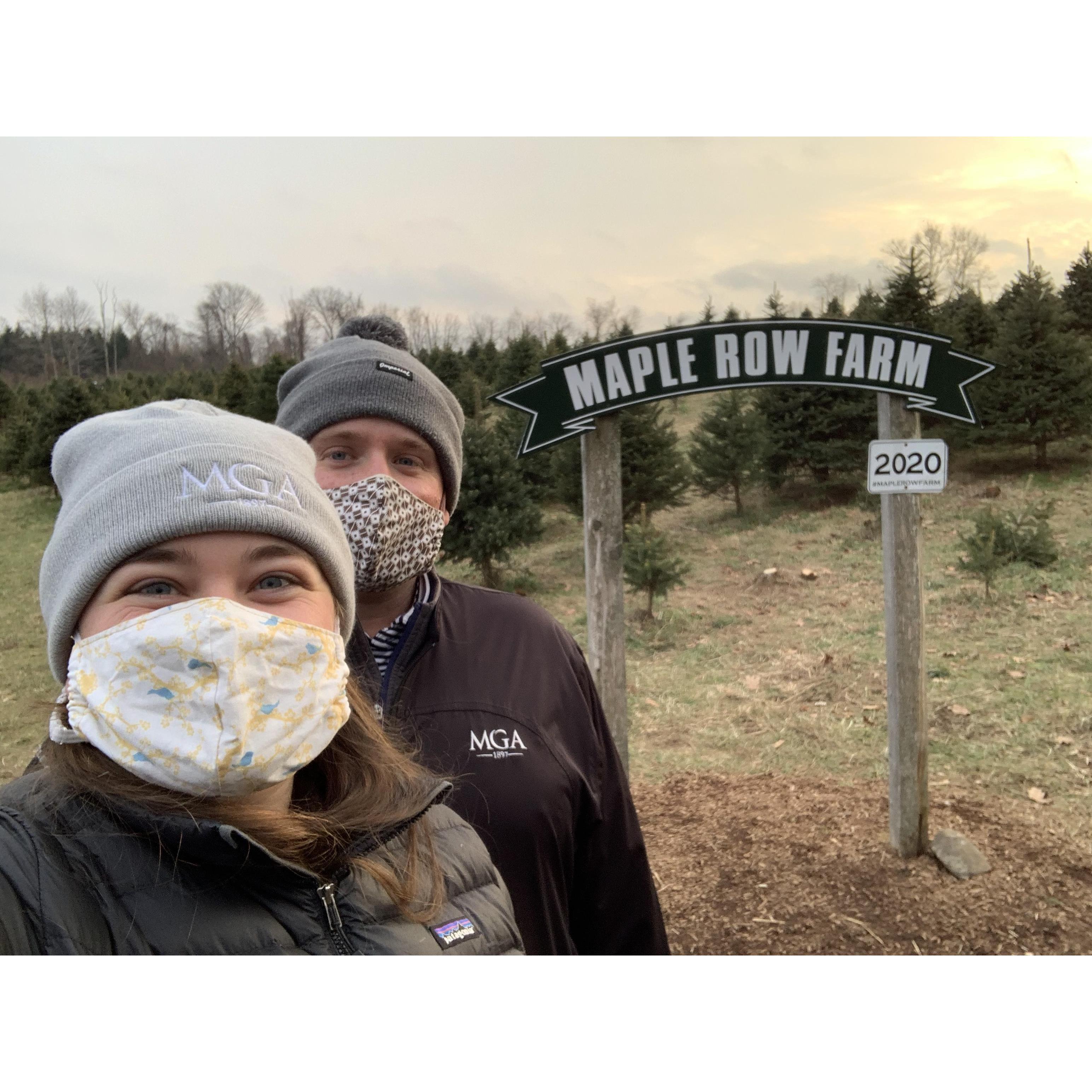 Our first Christmas cutting down a tree for our home! We learned Kyle likes the picture perfect triangular shaped tree while Lindsay opts for a rotund Christmas shrub - and so the compromises begin...