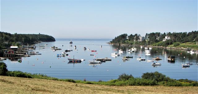 The Wedding Website of Bailey Cutler and Nate Fox