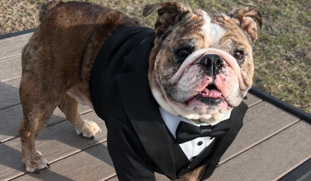 The Wedding Website of Candace Burr and Alex Wanzenberg