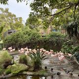 Santa Barbara Zoo