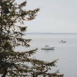 Acadia National Park