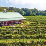 Cape May Winery