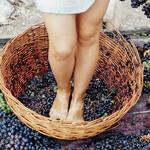 Enjoy DC's Wine Country!
