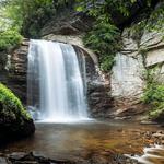 Pisgah National Forest