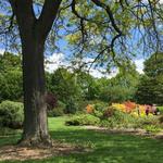 Madison Arboretum