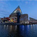 The National Aquarium