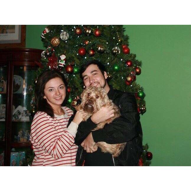 Christmas of 2017 with our newest addition to the family, Esco, looking pretty awkward.