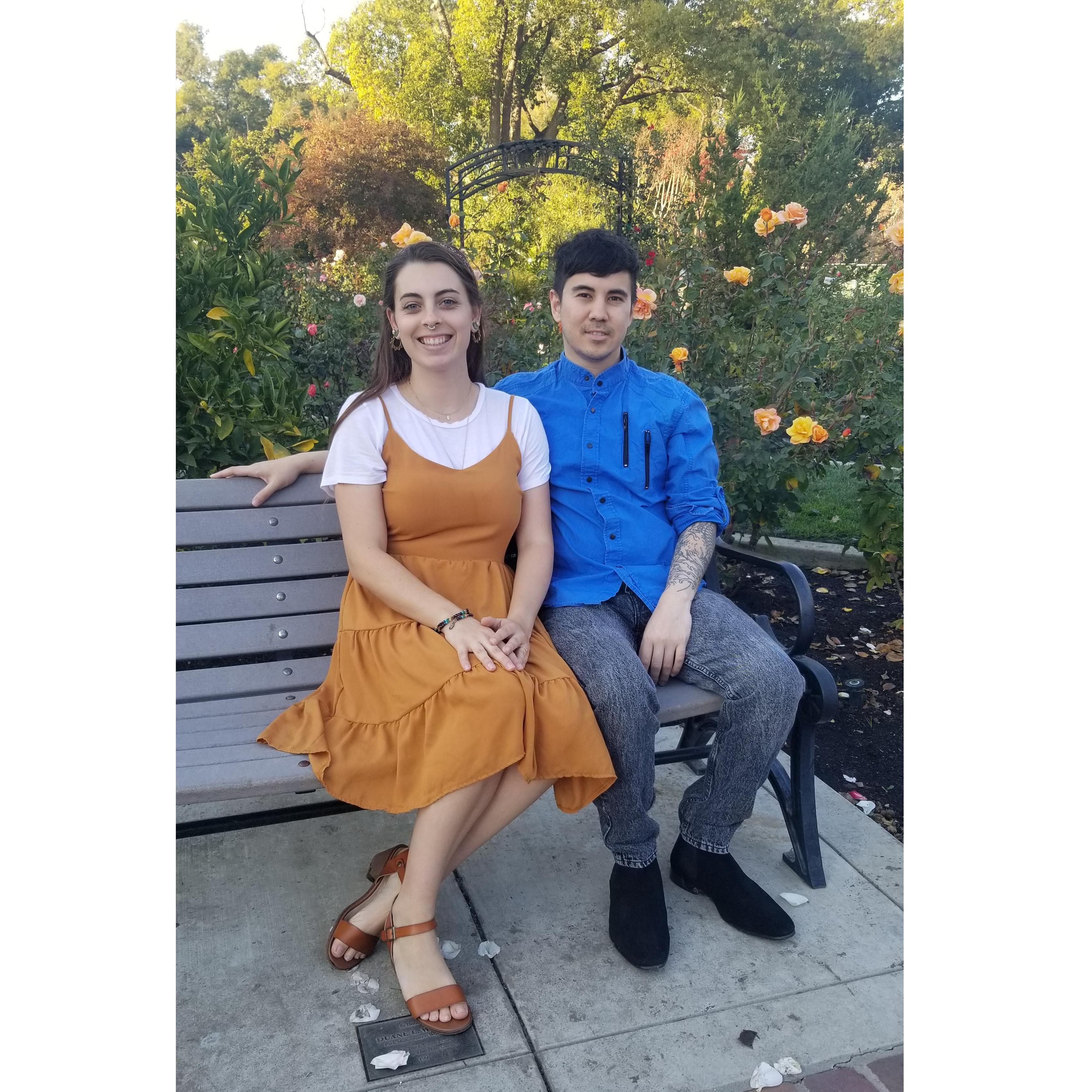 Sacramento Rose Garden, 2019