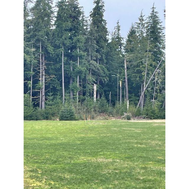 More camping area for RVs or tents