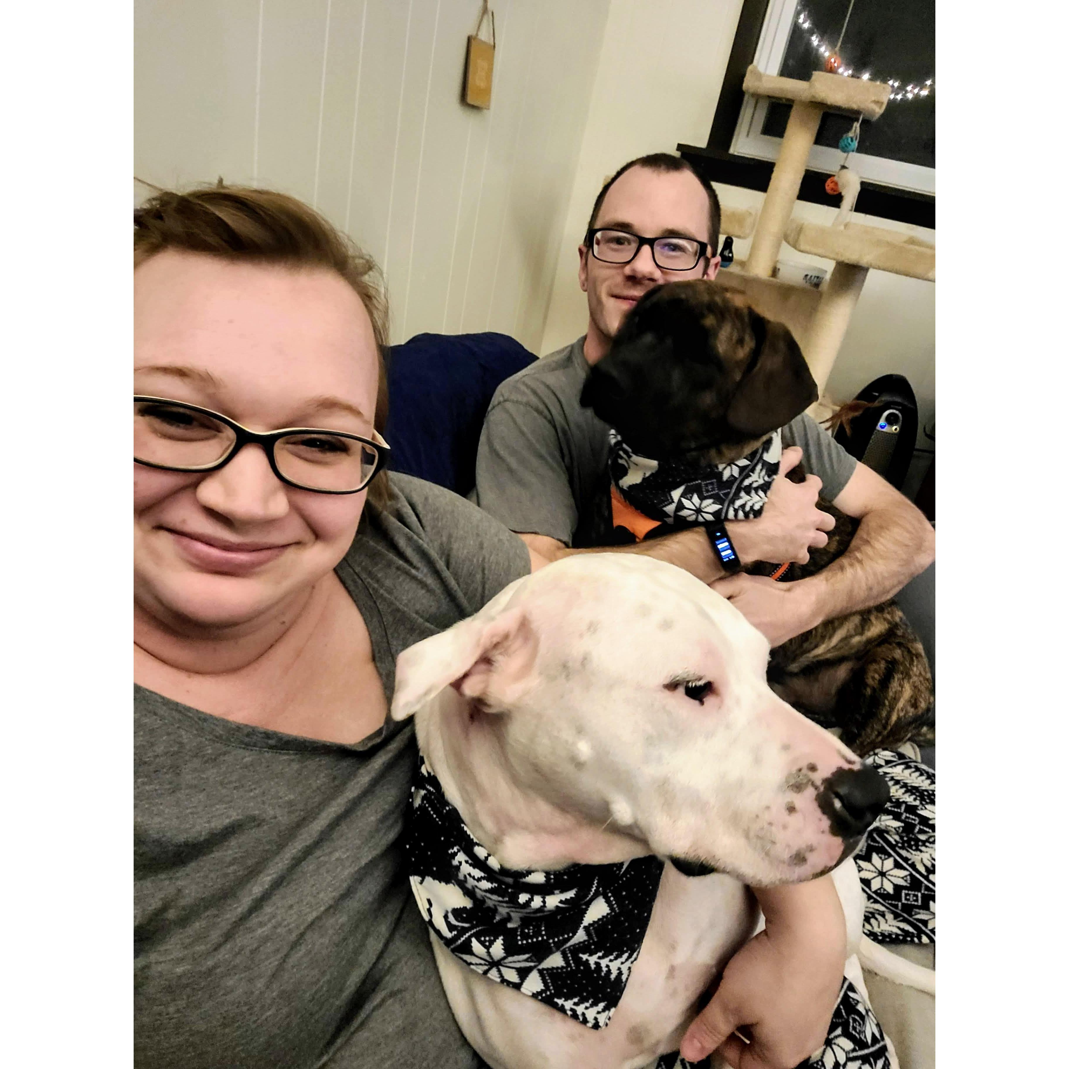 Our first Christmas with Maui! 2020