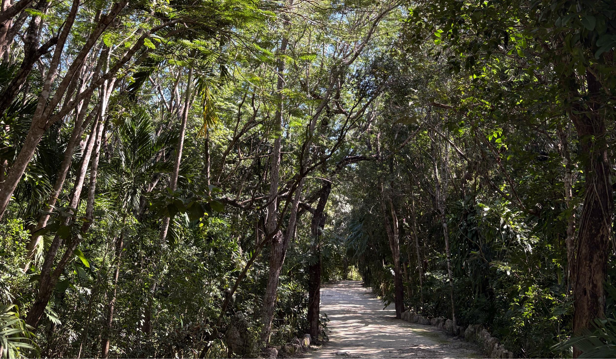 The Wedding Website of Lina Yazbak and Christian McDaniel