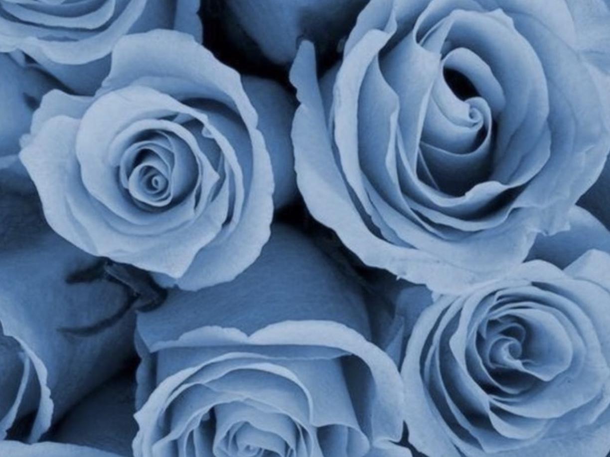 The Wedding Website of Latiah Brown and Lawrence Tyndale Jr.