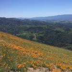 Grass Mountain Trail head