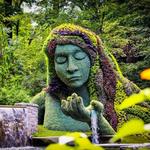 Atlanta Botanical Garden
