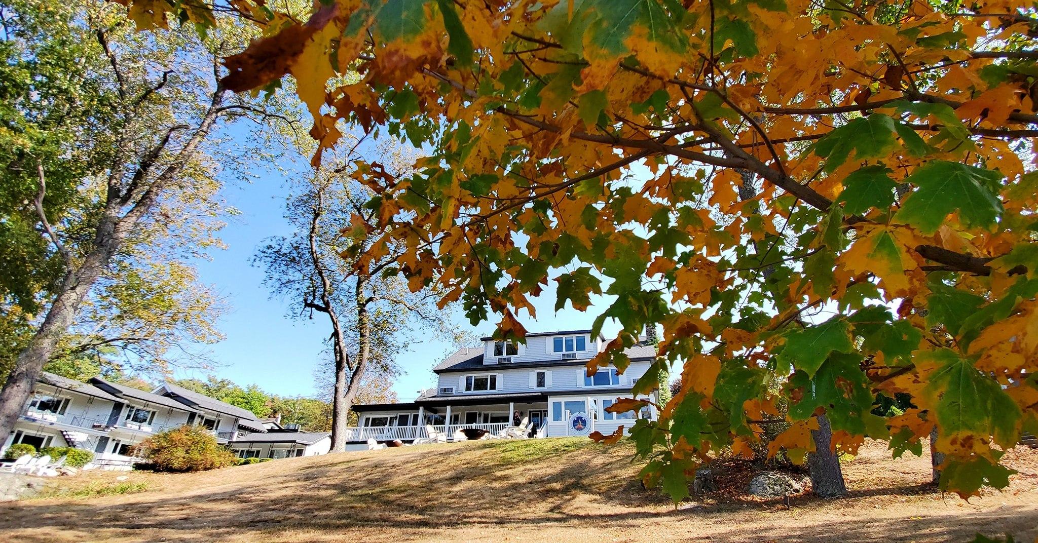 The Wedding Website of Amanda Dickson and Corey Teeple