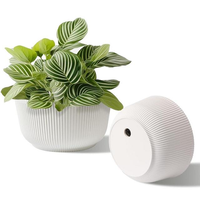T4U 10 Inch Self Watering Pots for Indoor Plants, Plastic Plant Pots with Drainage Hole, Large Flower Pots for Indoor Outdoor Plants Cactus, Garden, Set of 2, White