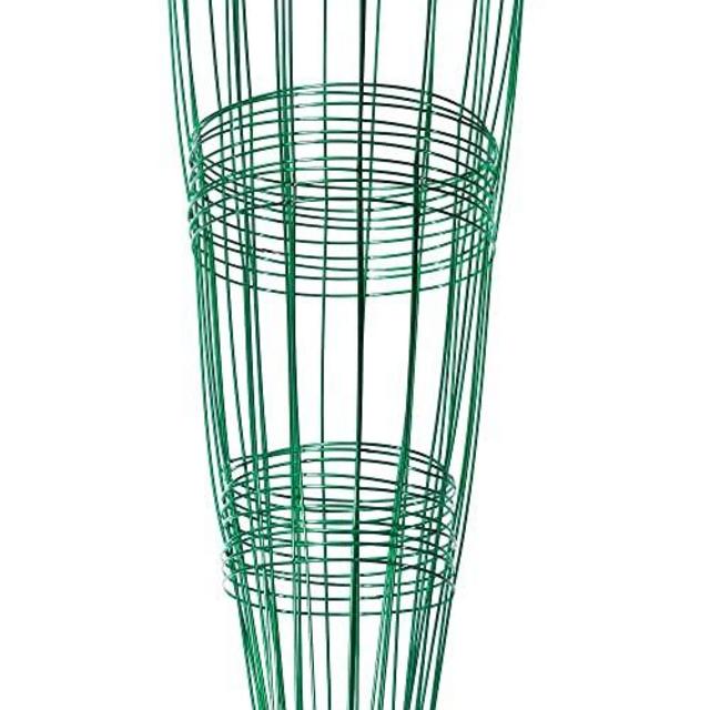 Glamos 220500, Blazing Gemz Plant Support, 12 by 33-Inch, Emerald Green (Pack Of 10 Supports)