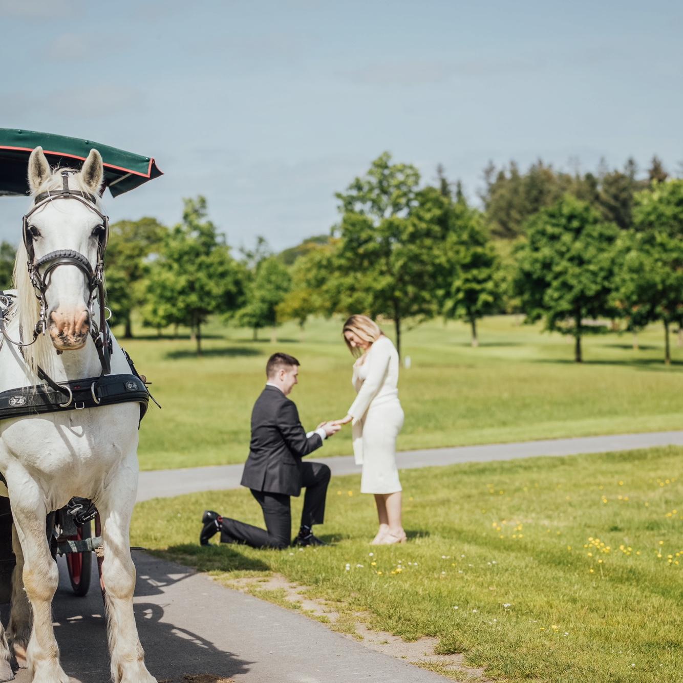 Engaged at Dromoland Castle!