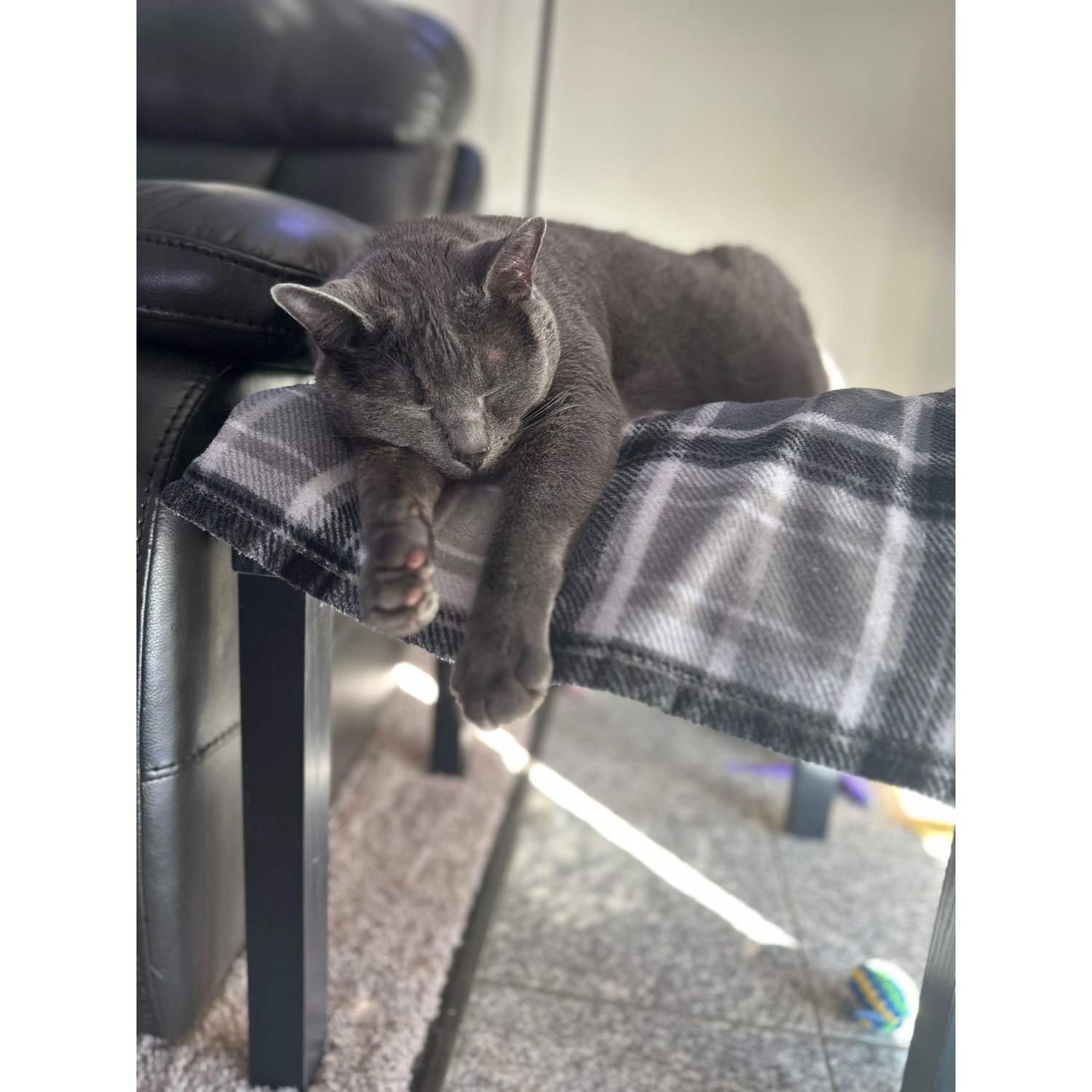 Big boy Nox