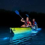 Bahía Bioluminiscente