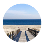 Crane Beach