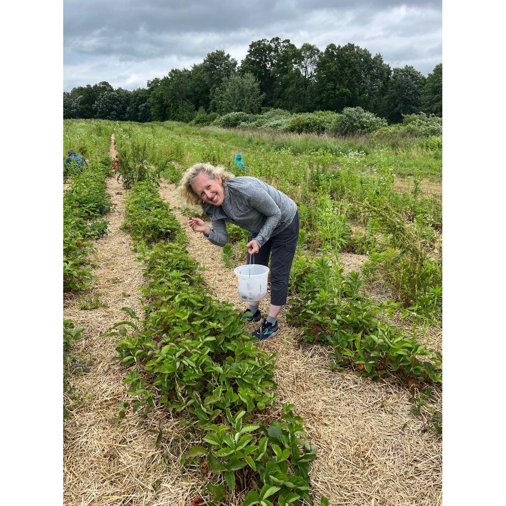 You have to bend down low to get the best strawberries! 🍓