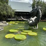 Jacksonville Zoo and Botanical Gardens