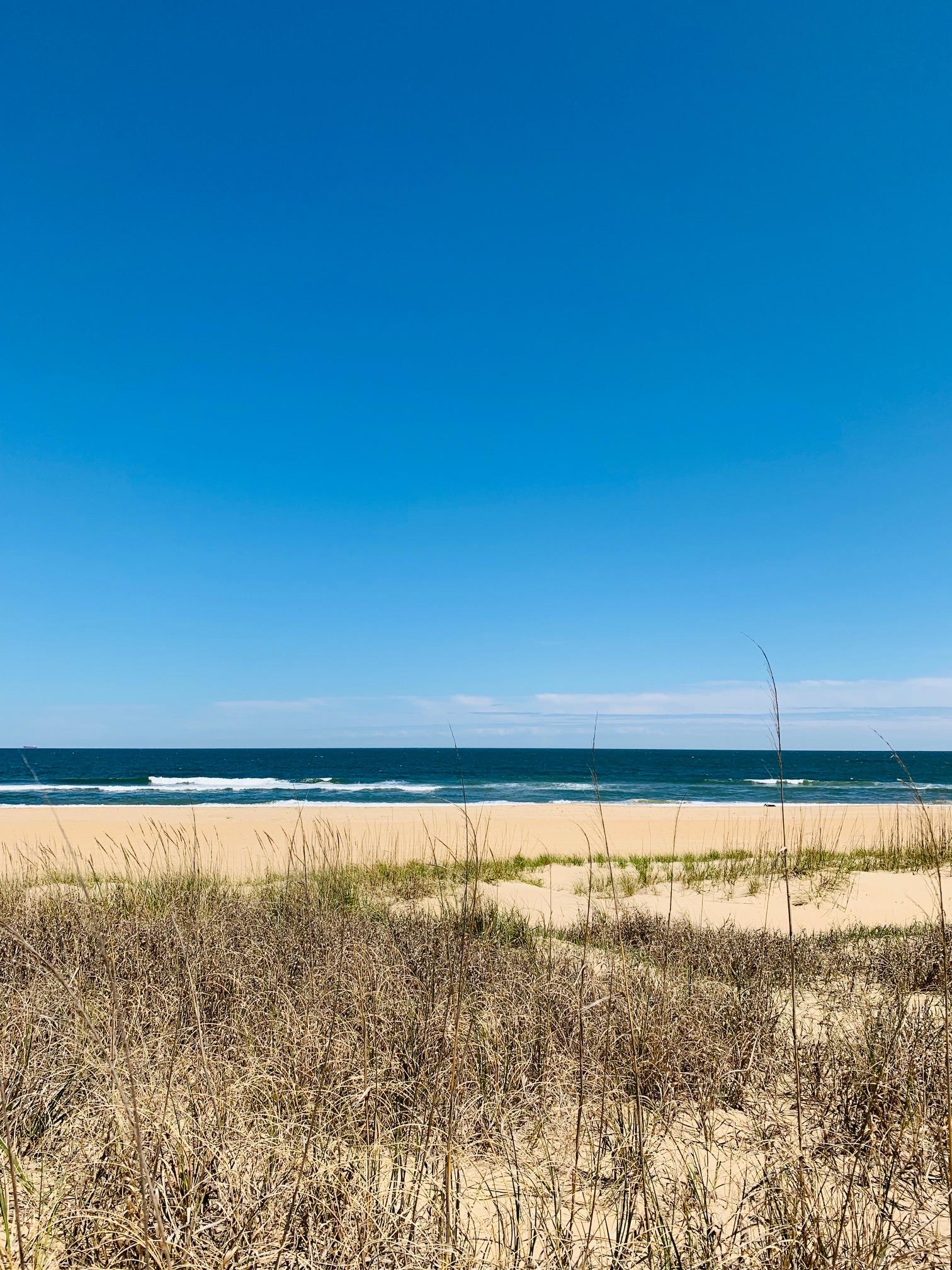 The Wedding Website of Erin Leon and Charlie Olson