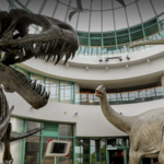 North Carolina Museum of Natural Sciences