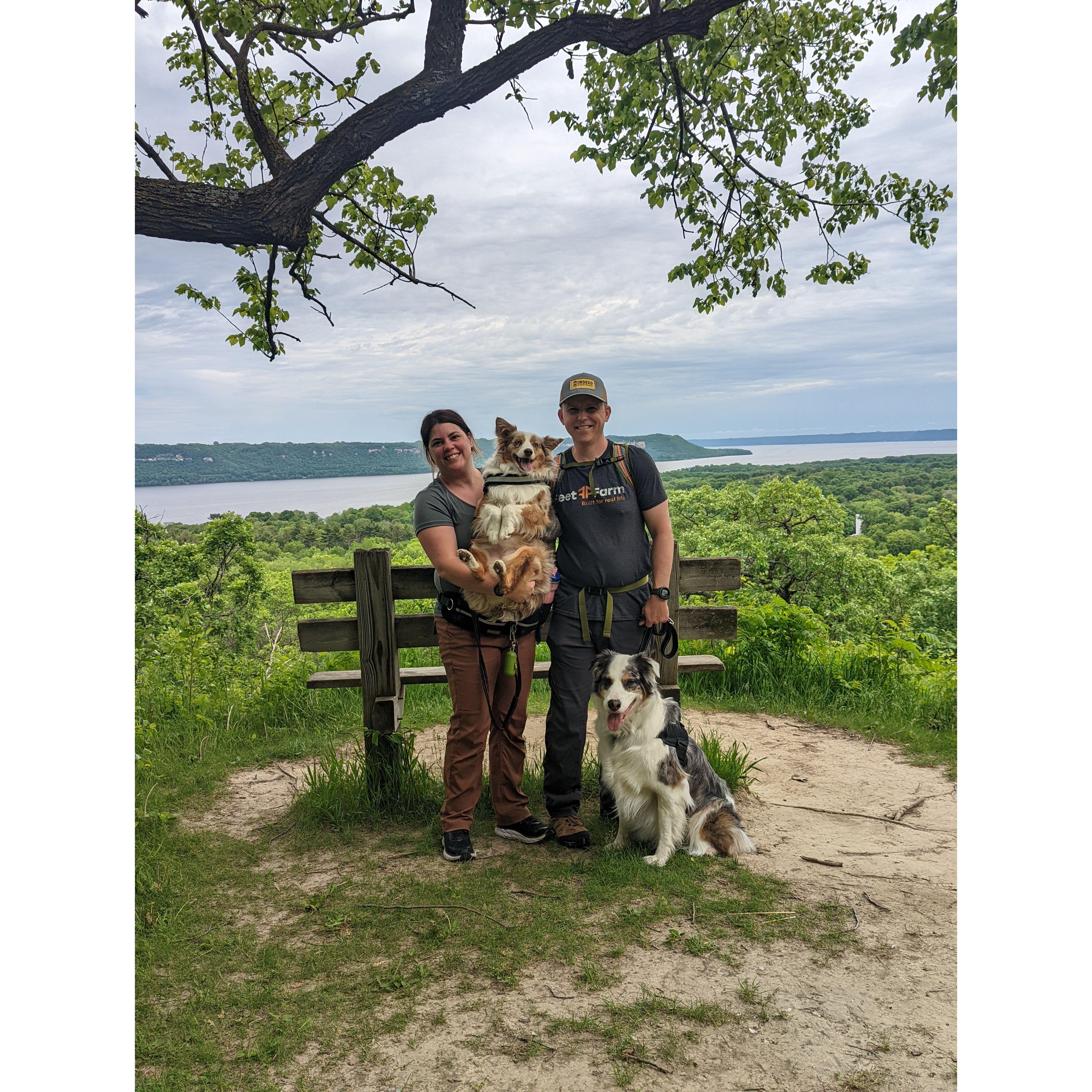 Camping with the dogs is one of our favorite things to do away from the usual city life.