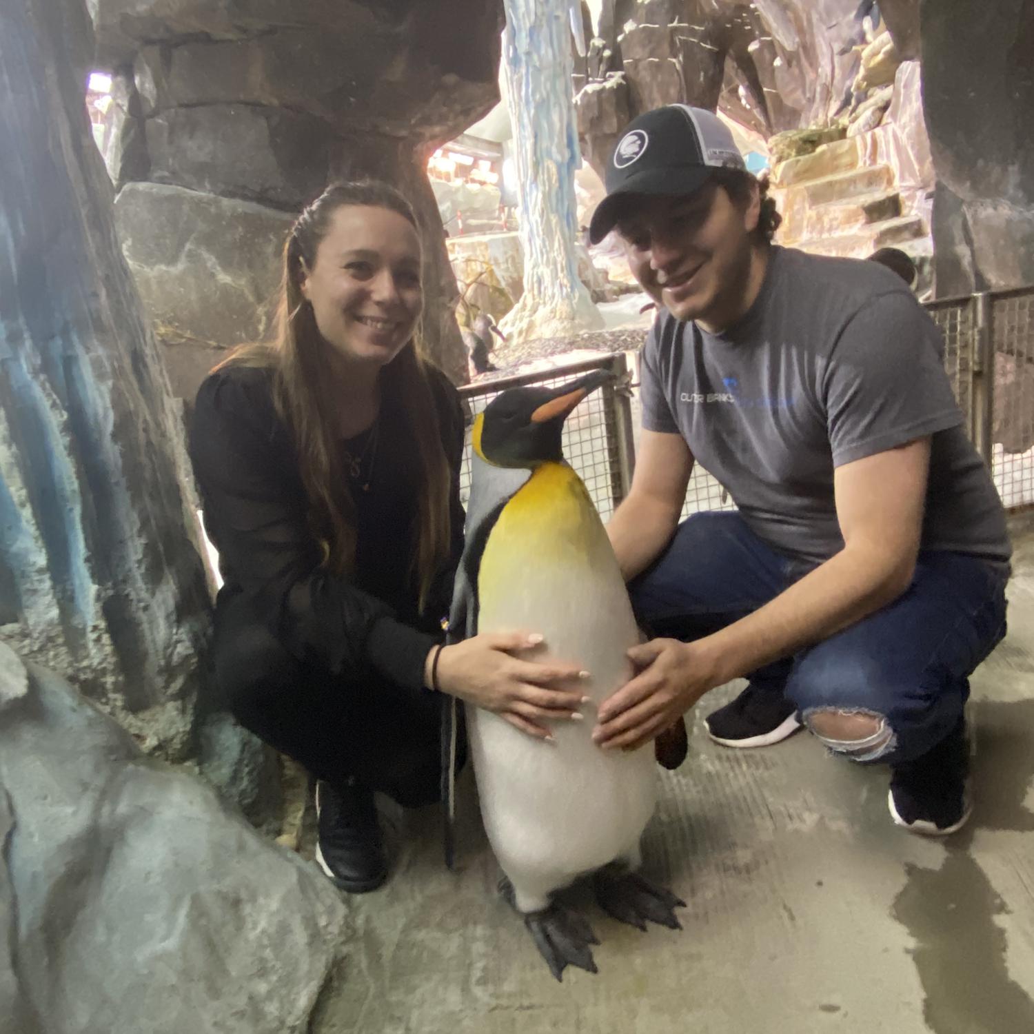 One of my favorite moments was surprising Rolo with a penguin encounter at SeaWorld.