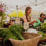 Squamish Farmers Market