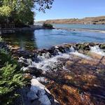 Giant Springs State Park