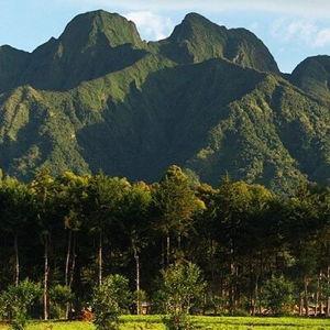 Driver from Kigali to Volcano National Park (out and back)