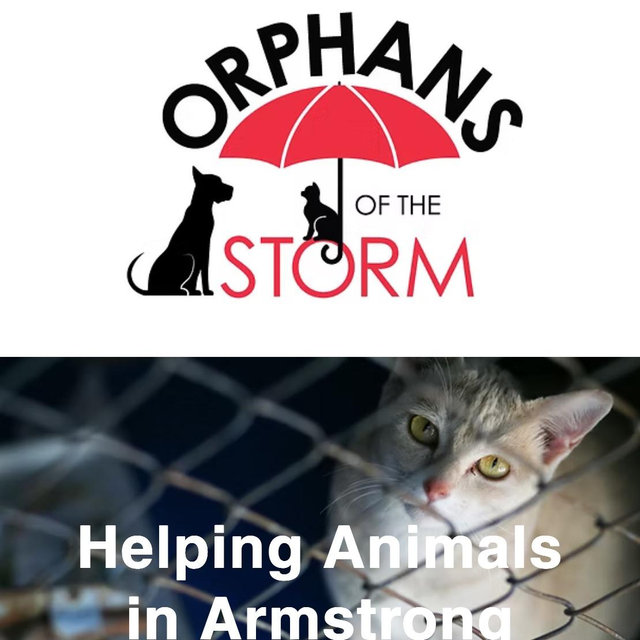 Orphans Of The Storm
