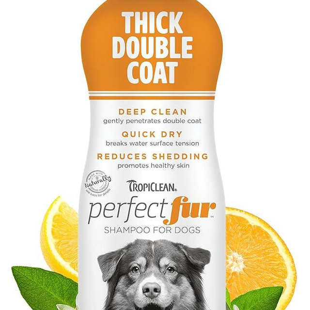 TropiClean Perfect Fur Dog Shampoo for Shedding Control & Deep Conditioning for Breeds with Thick Double Coats | 16 oz