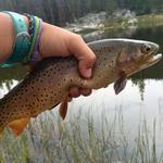 Fishing!